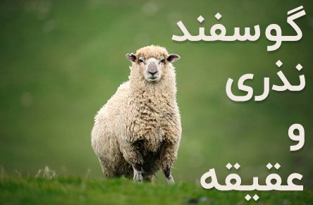 Gosfand-Nazri-Img
