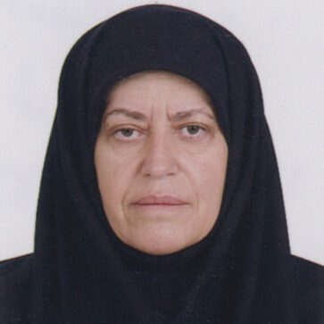 toosi zadeh2